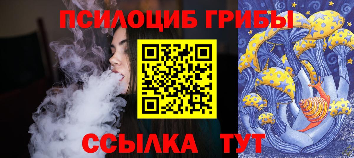 Псилоцибиновые грибы прущие грибы Старая Купавна