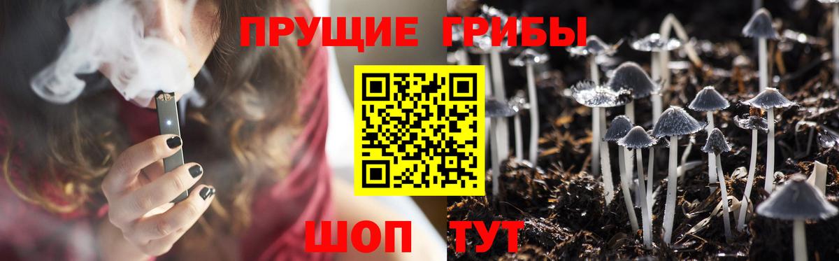 Старая Купавна  Псилоцибиновые грибы Cubensis  Псилоцибиновые грибы GOLDEN TEACHER  Вход с VPN 